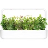 image:imageClick and Grow Smart Garden Oregano Plant Pods 3Pack3pack