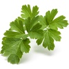 image:imageClick and Grow Smart Garden Plain Parsley Plant Pod 3Pack3pack