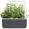 image:imageClick and Grow Smart Garden Rosemary Plant Pods 3Pack3pack