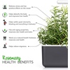 image:imageClick and Grow Smart Garden Rosemary Plant Pods 3Pack3pack