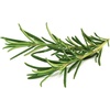 image:imageClick and Grow Smart Garden Rosemary Plant Pods 3Pack3pack
