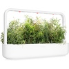 image:imageClick and Grow Smart Garden Rosemary Plant Pods 3Pack3pack
