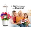 image:imageMini Smart Planter Kit with Petunia Plant Pods by ClickampGrow Hydrovase Indoor Garden SelfWatering Pot with Grow Light WhiteWhite