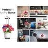 image:imageMini Smart Planter Kit with Petunia Plant Pods by ClickampGrow Hydrovase Indoor Garden SelfWatering Pot with Grow Light WhiteWhite