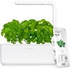 image:imageClick amp Grow Indoor Herb Garden Kit with Grow Light  Smart Garden for Home Kitchen Windowsill  Easier Than Hydroponics Growing System  Vegetable Gardening Starter 3 Basil Pods Included GreyWhite
