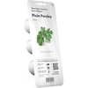 image:imageClick and Grow Smart Garden Plain Parsley Plant Pod 3Pack3pack