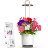 image:imageMini Smart Planter Kit with Petunia Plant Pods by ClickampGrow Hydrovase Indoor Garden SelfWatering Pot with Grow Light WhiteWhite