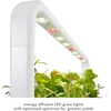 image:imageClick amp Grow Indoor Herb Garden Kit with Grow Light  Easier Than Hydroponics Growing System  Smart Garden for Home Kitchen Windowsill  Vegetable amp Herb Garden Starter Kit with 9 Plant pods WhiteGray