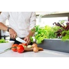 image:imageClick amp Grow Indoor Herb Garden Kit with Grow Light  Easier Than Hydroponics Growing System  Smart Garden for Home Kitchen Windowsill  Vegetable amp Herb Garden Starter Kit with 9 Plant pods WhiteGray