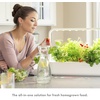 image:imageClick amp Grow Indoor Herb Garden Kit with Grow Light  Easier Than Hydroponics Growing System  Smart Garden for Home Kitchen Windowsill  Vegetable amp Herb Garden Starter Kit with 9 Plant pods WhiteGray