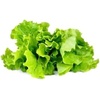 image:imageClick and Grow Green Lettuce 3Pack Plant Pods for Smart Garden Grow Fresh Greens at Home with Zero Effort