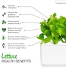 image:imageClick and Grow Green Lettuce 3Pack Plant Pods for Smart Garden Grow Fresh Greens at Home with Zero Effort