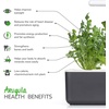 image:imageClick and Grow Smart Garden Arugula Plant Pods 3Pack3pack