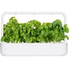 image:imageClick and Grow Smart Garden Basil Plant Pods 3Pack3pack