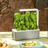 image:imageClick and Grow Smart Garden Basil Plant Pods 3Pack3pack