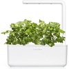 image:imageClick and Grow Smart Garden CilantroCoriander Plant Pods 3Pack
