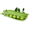 image:imageClick and Grow Smart Garden Dwarf Pea Plant Pods 3Pack