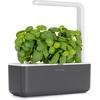 image:imageClick and Grow Smart Garden Grey 3 Basil Pods Included and Thyme Plan Pods 3Pack Bundle
