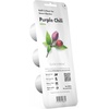 image:imageClick and Grow Smart Garden Purple Chili Plant Pods 3Pack3pack