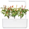 image:imageClick and Grow Smart Garden Red Hot Chili Peppers Plant Pods 3Pack