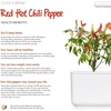 image:imageClick and Grow Smart Garden Red Hot Chili Peppers Plant Pods 3Pack
