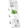 image:imageClick and Grow Green Lettuce 3Pack Plant Pods for Smart Garden Grow Fresh Greens at Home with Zero Effort