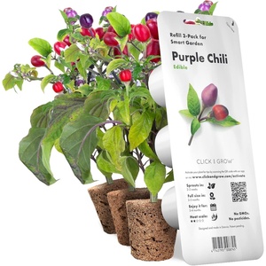 image:imageClick and Grow Smart Garden Purple Chili Plant Pods 3Pack3pack
