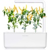 image:imageClick amp Grow Replacement Pots of Yellow Chilli Soil Pack of 3 Capsules
