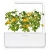 image:imageClick amp Grow SGR57x3 3 pcs Cherry Tomato Starter kit3pack