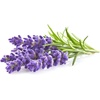image:imageClick and Grow Lavender Refill for Smart Garden3pack