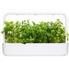 image:imageClick and Grow Smart Garden Apple Mint Plant Pods 3Pack