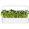 image:imageClick and Grow Smart Garden Black Pansy Plant Pods 3Pack3pack