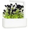 image:imageClick and Grow Smart Garden Black Pansy Plant Pods 3Pack3pack