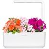 image:imageClick and Grow Smart Garden Busy Lizzie Plant Pods 3Pack3pack
