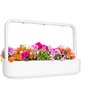 image:imageClick and Grow Smart Garden Busy Lizzie Plant Pods 3Pack3pack