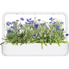image:imageClick and Grow Smart Garden Cornflower Plant Pods 3Pack3pack