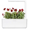 image:imageClick and Grow Smart Garden Red Pansy Plant Pods 3Pack3pack