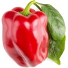 image:imageClick and Grow Smart Garden Red Sweet Pepper Plant Pods 3Pack3pack