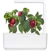 image:imageClick and Grow Smart Garden Red Sweet Pepper Plant Pods 3Pack3pack
