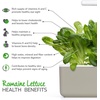 image:imageClick and Grow Smart Garden Romaine Lettuce Plant Pods 3Pack