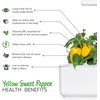 image:imageClick and Grow Smart Garden Yellow Sweet Pepper Plant Pods 3Pack3pack