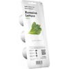 image:imageClick and Grow Smart Garden Romaine Lettuce Plant Pods 3Pack