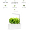 image:imageClick amp Grow Smart Garden 3 Indoor Herb Garden Kit with Grow Light Sage  Easier than a hydroponic growing system Patented Smart Soil Includes 3 basil pods Choose from 50 plant varietiesSage green
