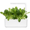 image:imageClick and Grow Smart Garden Romaine Lettuce Plant Pods 9Pack9pack