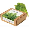 image:imageClick and Grow Smart Garden Romaine Lettuce Plant Pods 9Pack9pack