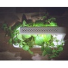image:imageClick and Grow Holy Basil 3Pack Plant Pods for Smart GardenGrow Fresh Greens at Home All Year Round3pack