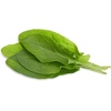 image:imageClick and Grow Smart Garden Green Sorrel Plant Pods 3Pack3pack