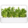 image:imageClick and Grow Smart Garden Green Sorrel Plant Pods 3Pack3pack