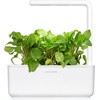 image:imageClick and Grow Smart Garden Green Sorrel Plant Pods 3Pack3pack
