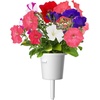 image:imageClick and Grow Smart Garden Petunia Plant Pods 3Pack
